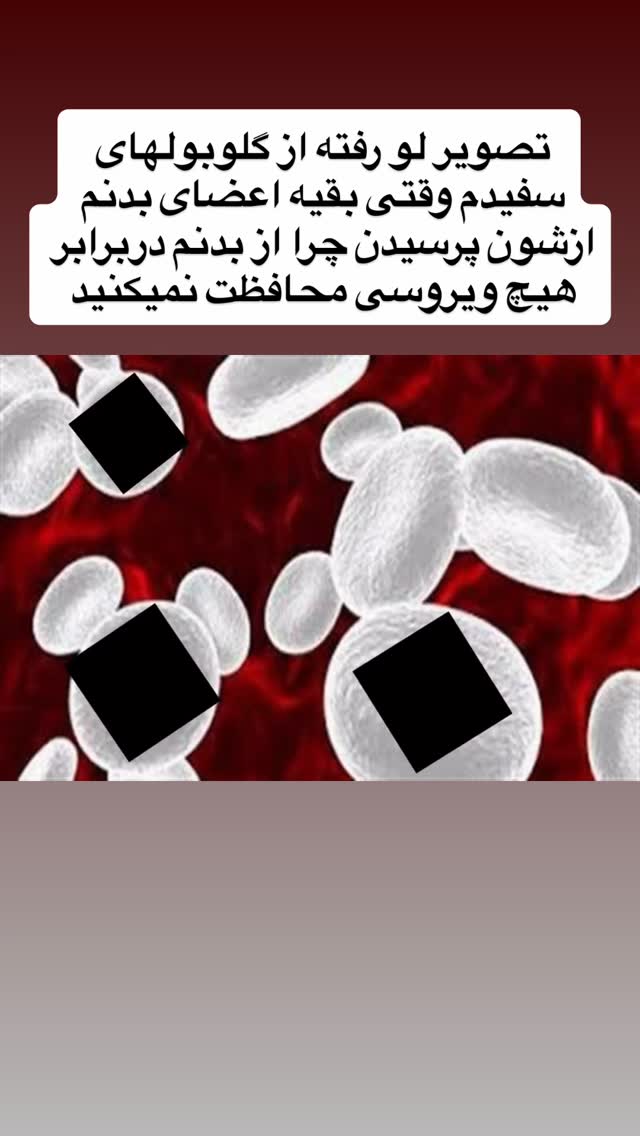  جدید ترین استوری اینستاگرام باران خسرونژاد