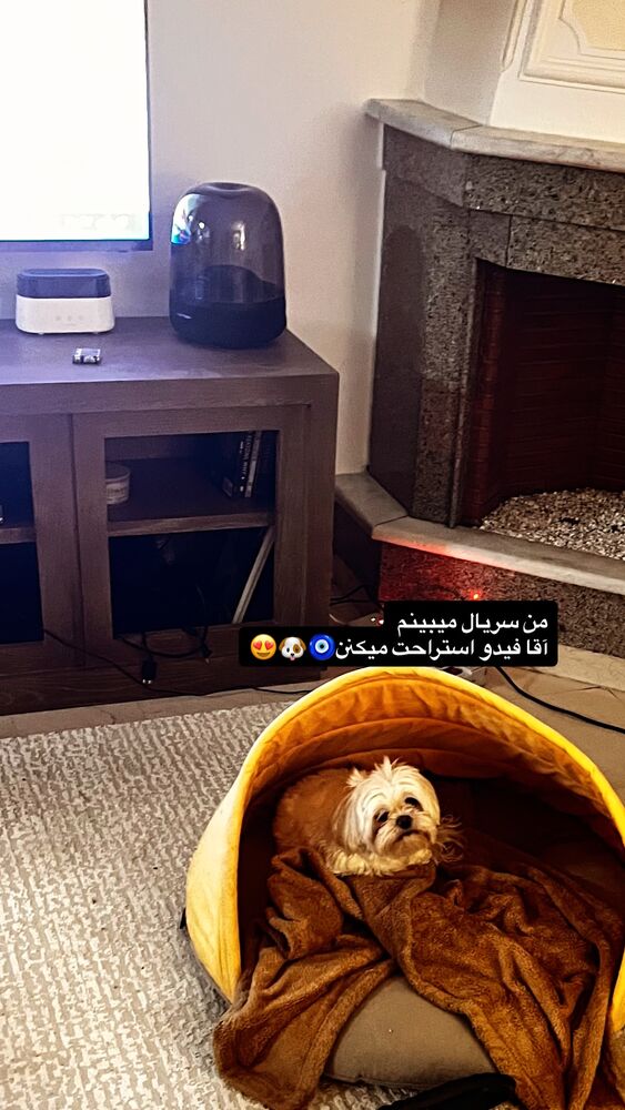  جدید ترین استوری اینستاگرام باربد بابایی