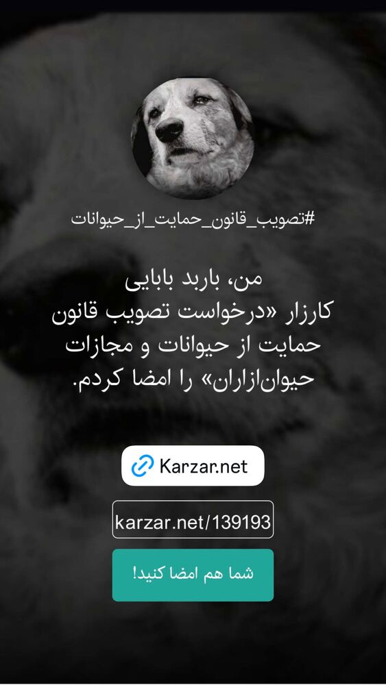 جدید ترین استوری اینستاگرام باربد بابایی
