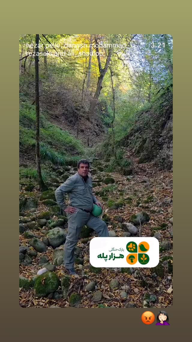  جدید ترین استوری اینستاگرام نازنین بیاتی