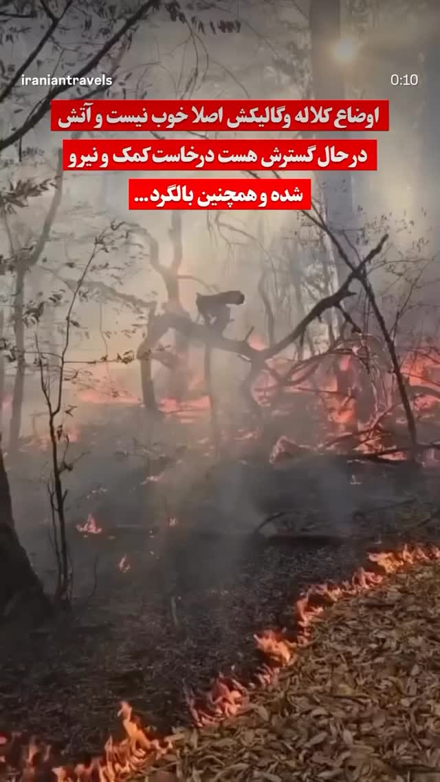  جدید ترین استوری اینستاگرام نازنین بیاتی