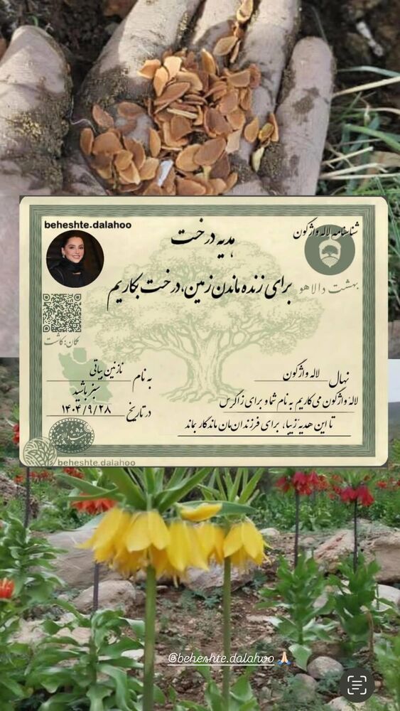  جدید ترین استوری اینستاگرام نازنین بیاتی