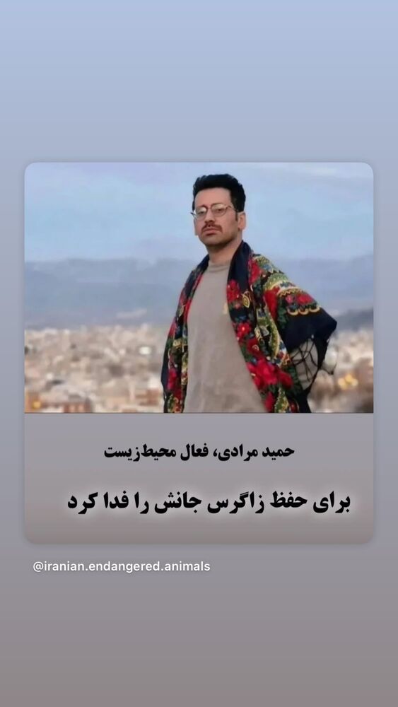  جدید ترین استوری اینستاگرام حامد بهداد