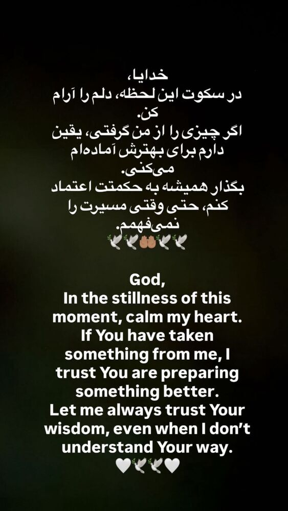  جدید ترین استوری اینستاگرام بهنام برزای