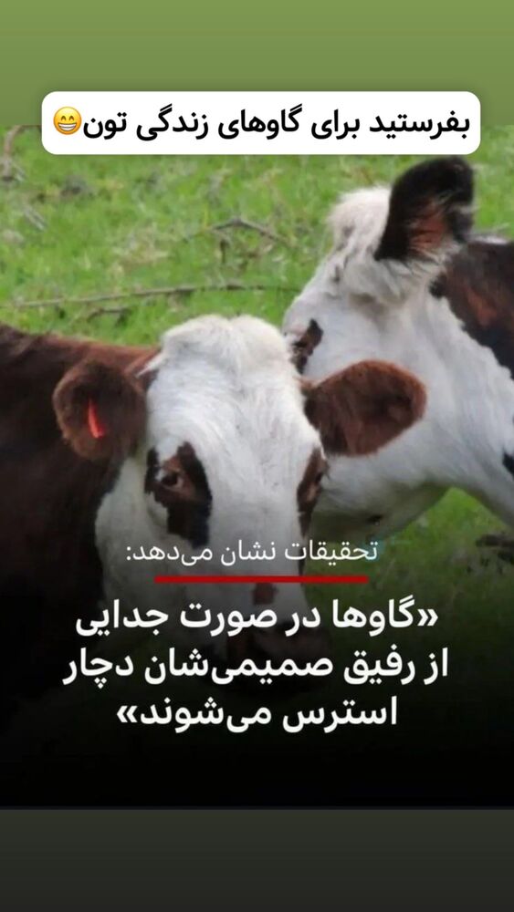  جدید ترین استوری اینستاگرام بهنام حیدری