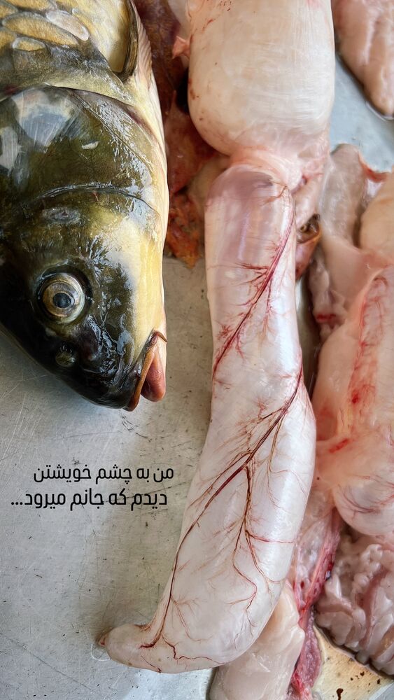  جدید ترین استوری اینستاگرام بهنام حیدری