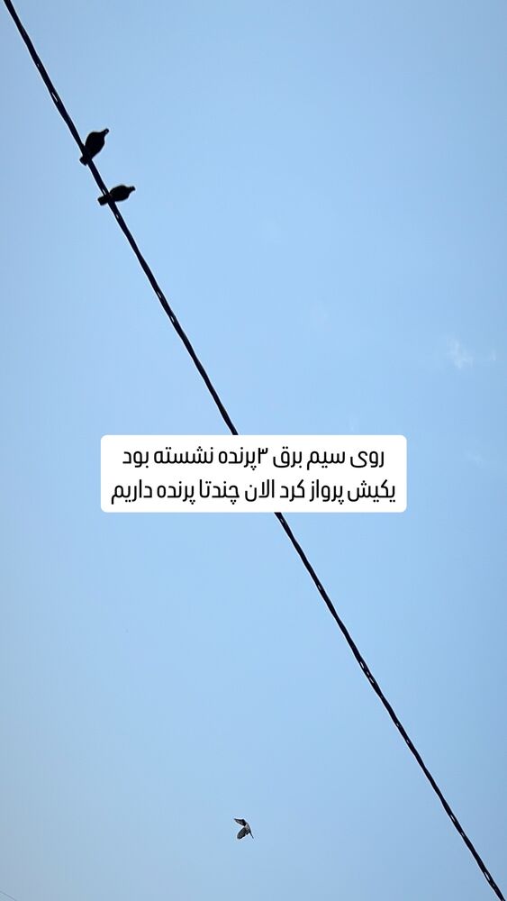  جدید ترین استوری اینستاگرام بهنام حیدری