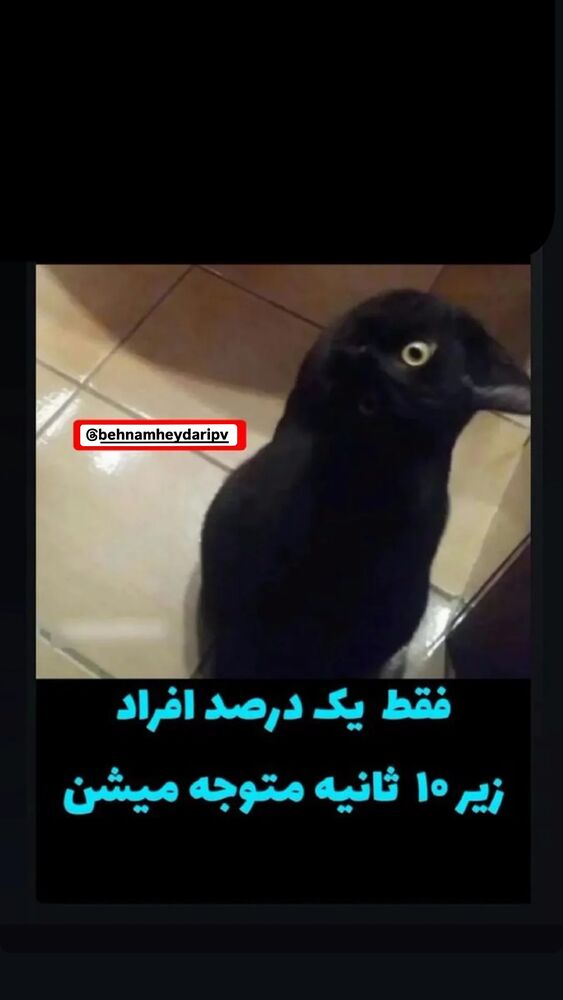  جدید ترین استوری اینستاگرام بهنام حیدری
