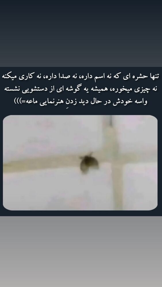  جدید ترین استوری اینستاگرام بهنام حیدری