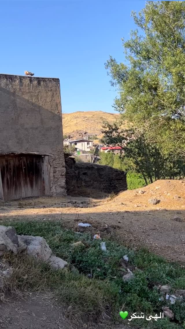  جدید ترین استوری اینستاگرام بهنام حیدری