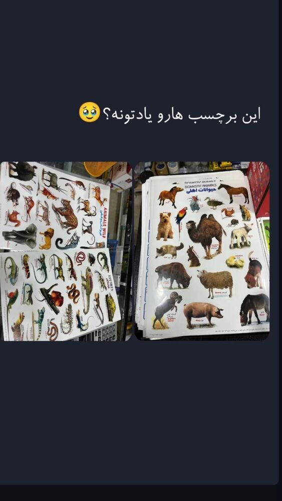  جدید ترین استوری اینستاگرام بهنام حیدری