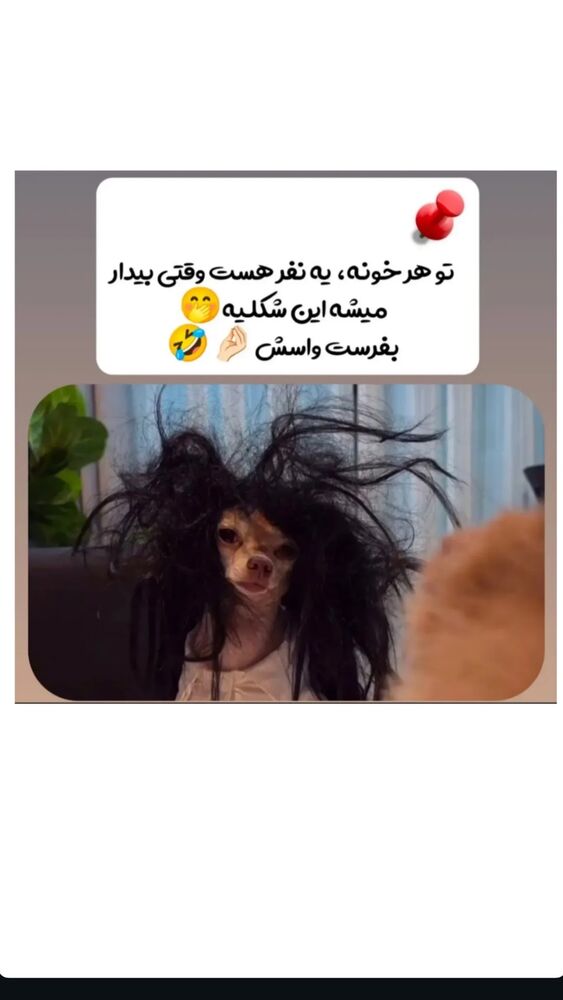  جدید ترین استوری اینستاگرام بهنام حیدری