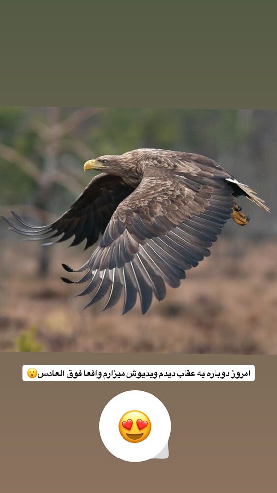  جدید ترین استوری اینستاگرام بهنام حیدری