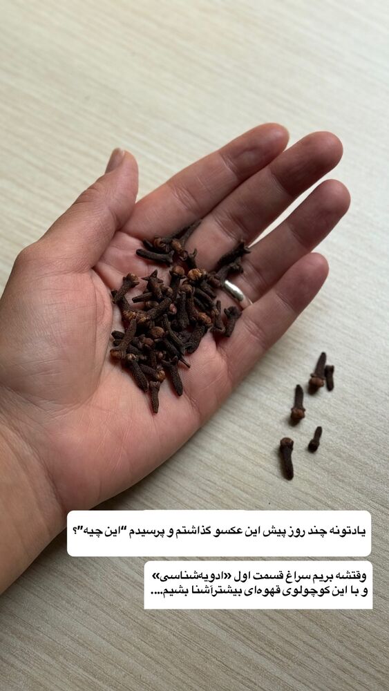  جدید ترین استوری اینستاگرام آشپزی با بهنام