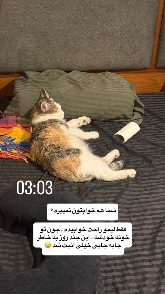  جدید ترین استوری اینستاگرام آشپزی با بهنام
