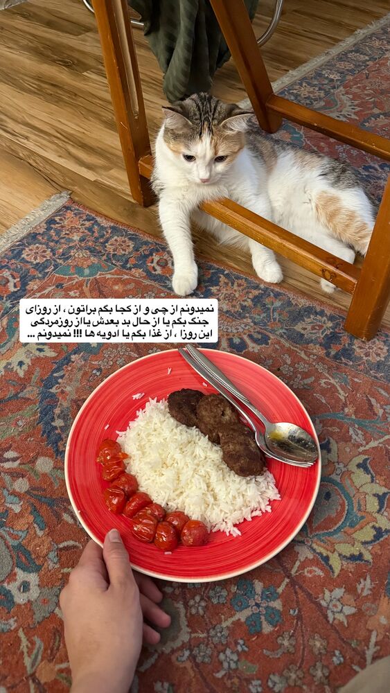  جدید ترین استوری اینستاگرام آشپزی با بهنام