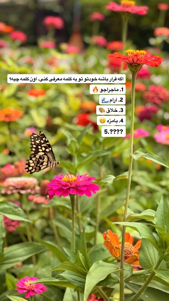  جدید ترین استوری اینستاگرام آشپزی با بهنام