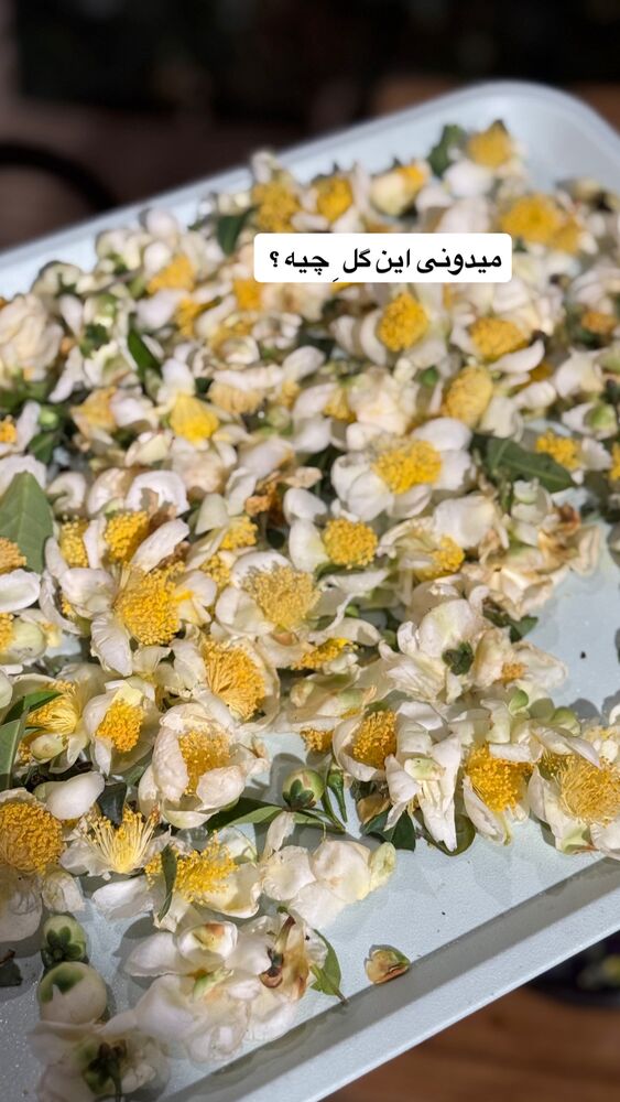  جدید ترین استوری اینستاگرام آشپزی با بهنام