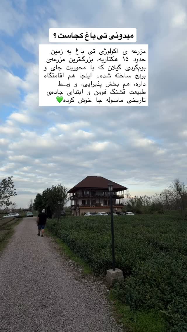  جدید ترین استوری اینستاگرام آشپزی با بهنام