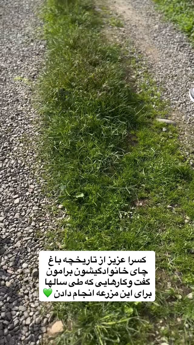  جدید ترین استوری اینستاگرام آشپزی با بهنام