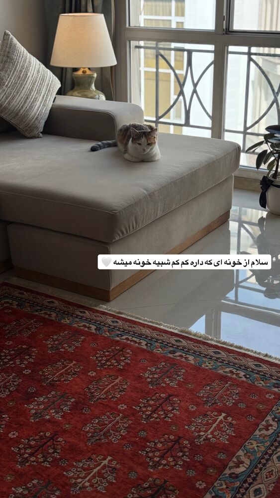  جدید ترین استوری اینستاگرام آشپزی با بهنام
