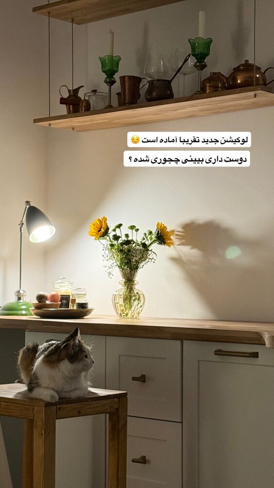  جدید ترین استوری اینستاگرام آشپزی با بهنام