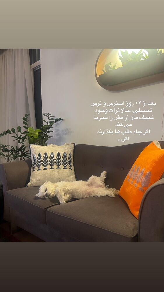  جدید ترین استوری اینستاگرام بهناز جعفری