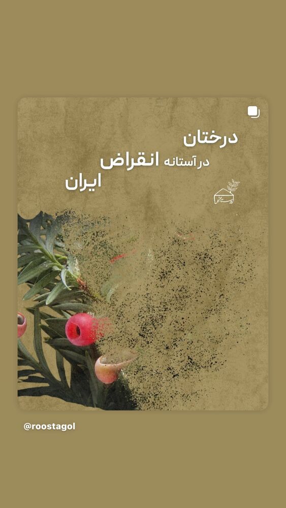  جدید ترین استوری اینستاگرام بهناز جعفری