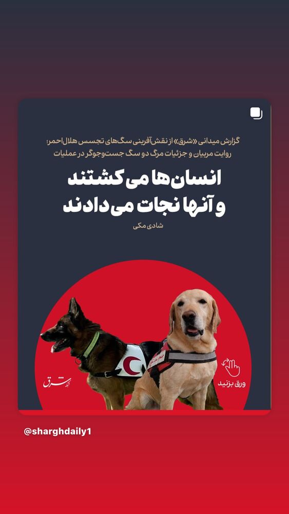  جدید ترین استوری اینستاگرام بهناز جعفری