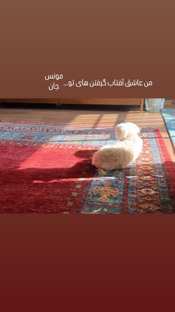  جدید ترین استوری اینستاگرام بهناز جعفری