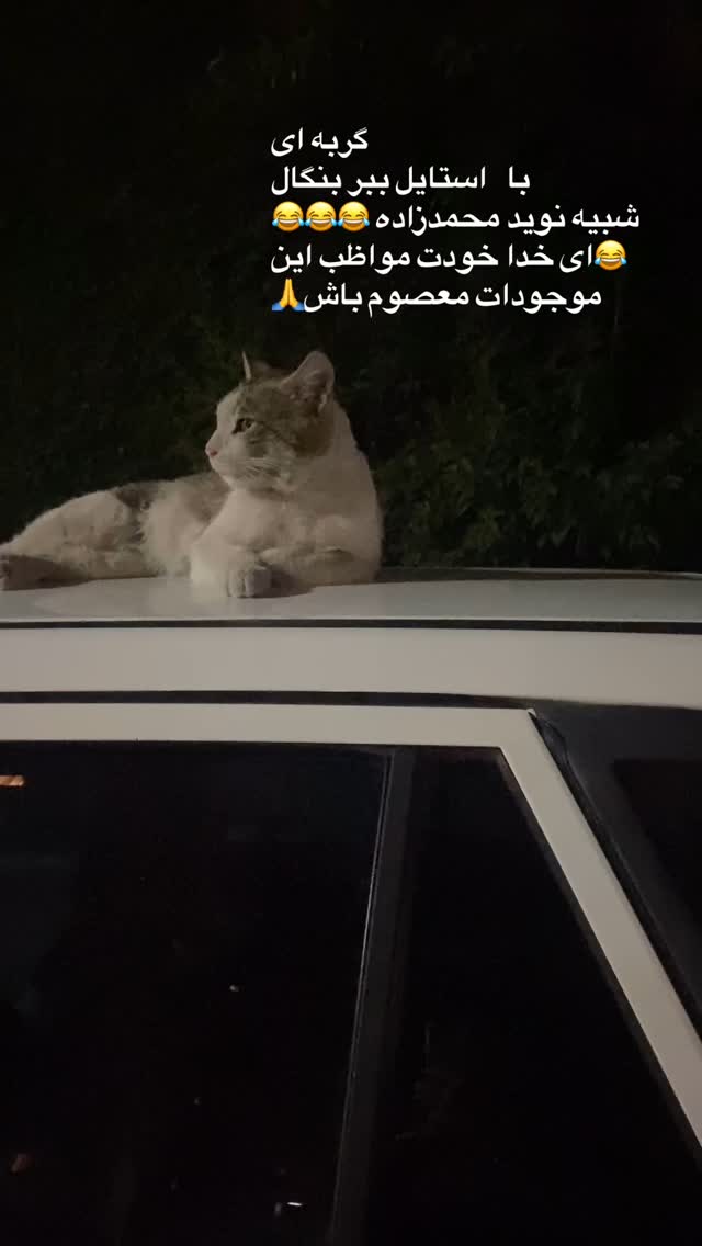  جدید ترین استوری اینستاگرام بهنوش بختیاری