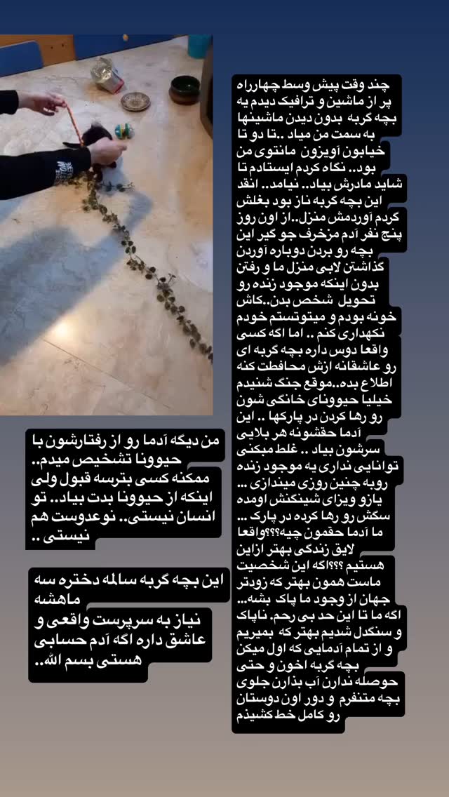  جدید ترین استوری اینستاگرام بهنوش بختیاری