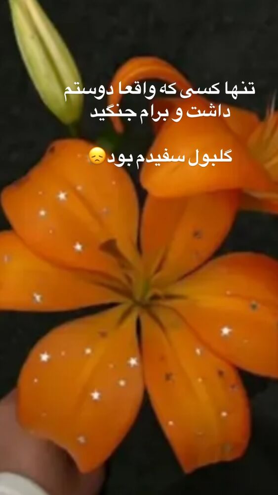  جدید ترین استوری اینستاگرام بهنوش بختیاری