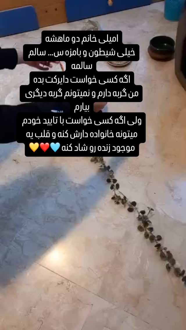  جدید ترین استوری اینستاگرام بهنوش بختیاری