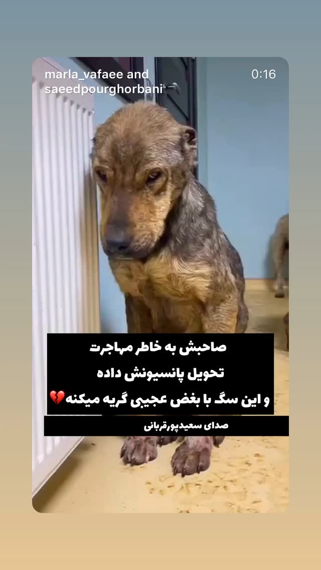  جدید ترین استوری اینستاگرام بهنوش بختیاری