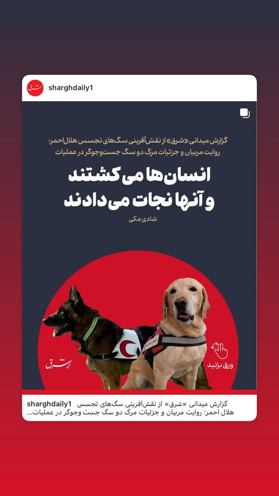  جدید ترین استوری اینستاگرام بهرنگ علوی