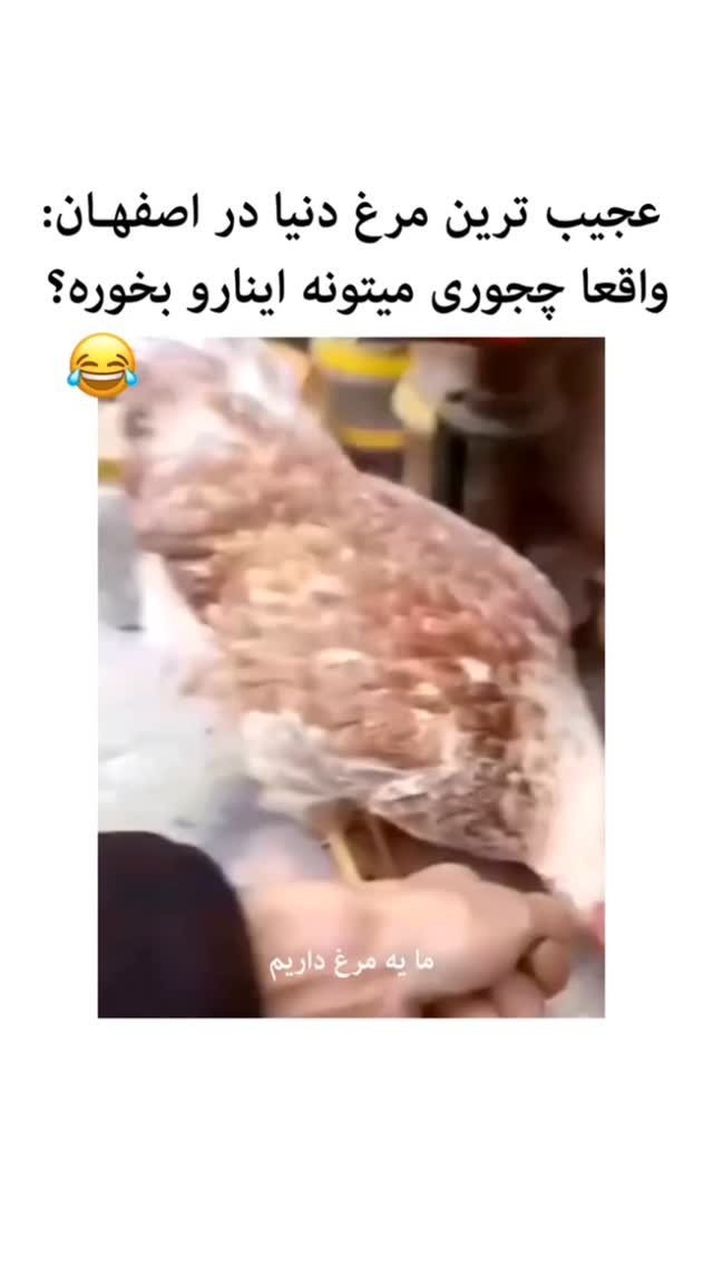  جدید ترین استوری اینستاگرام بهزاد محمدی