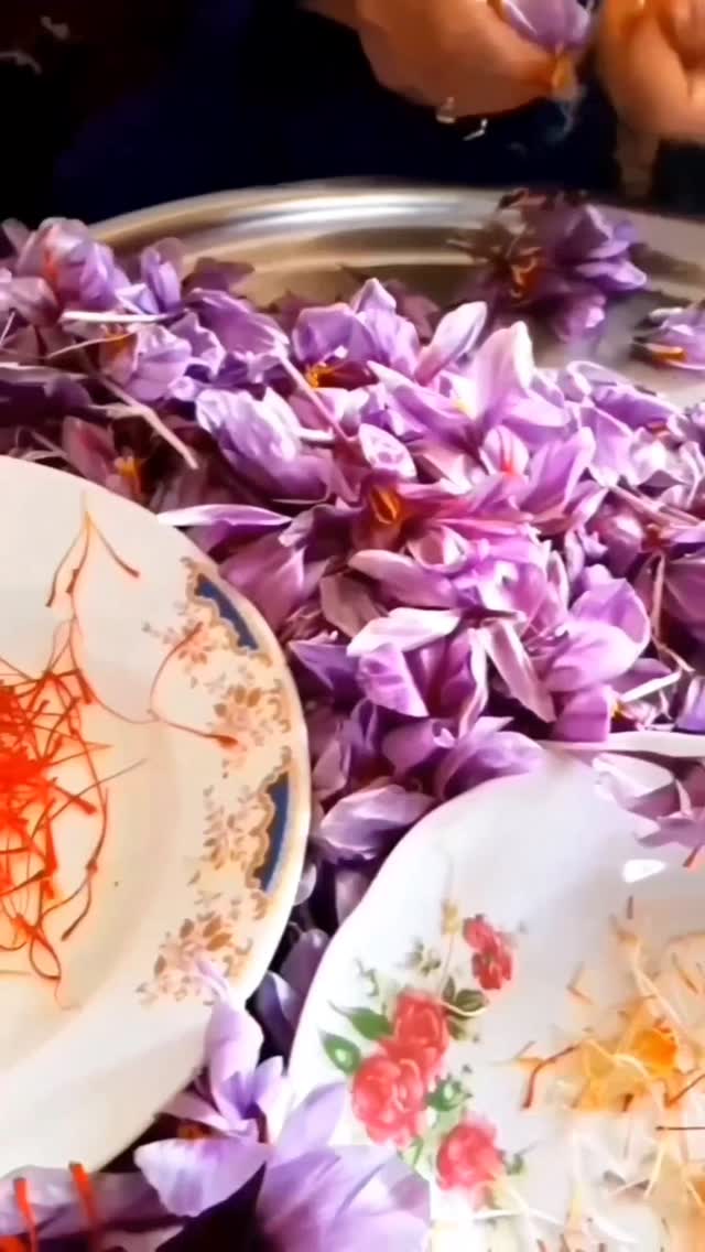  جدید ترین استوری اینستاگرام بهزاد محمدی