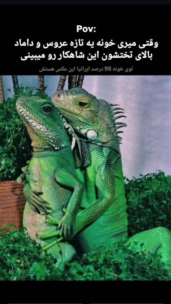  جدید ترین استوری اینستاگرام بهزاد محمدی