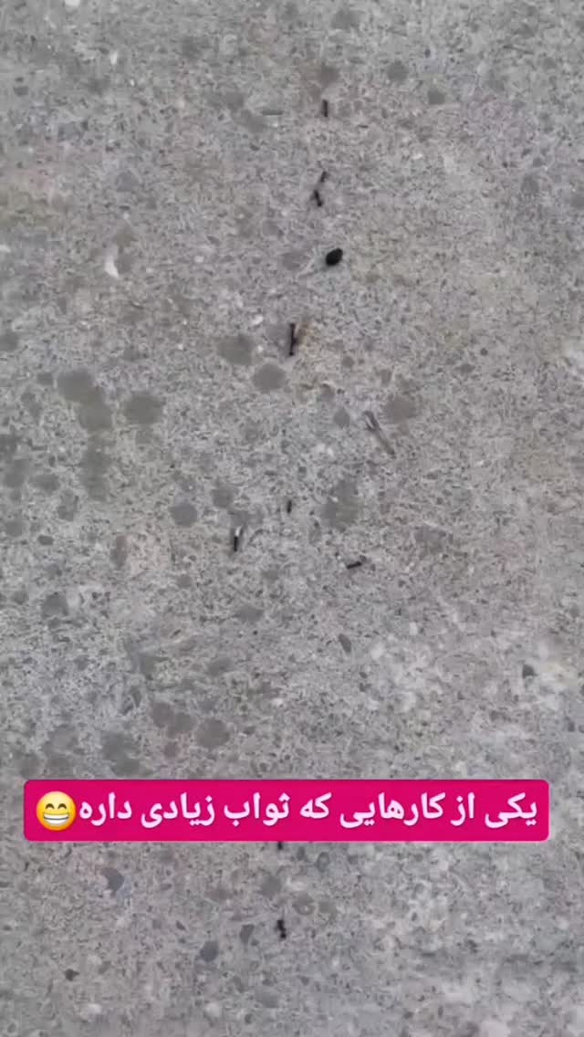  جدید ترین استوری اینستاگرام بهزاد محمدی