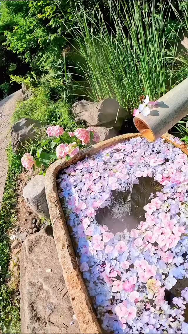  جدید ترین استوری اینستاگرام بهزاد محمدی