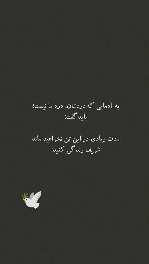  جدید ترین استوری اینستاگرام بهزاد محمدی