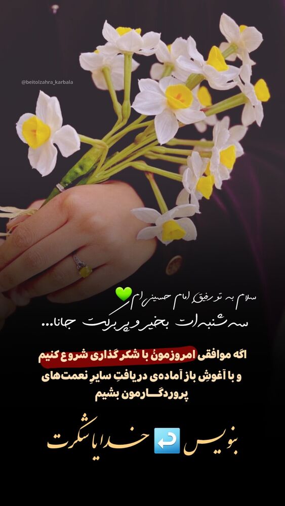  جدید ترین استوری اینستاگرام موکب بیت الزهرا
