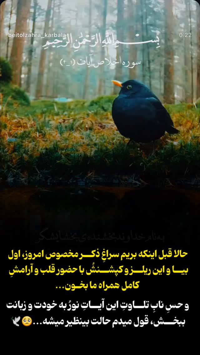  جدید ترین استوری اینستاگرام موکب بیت الزهرا