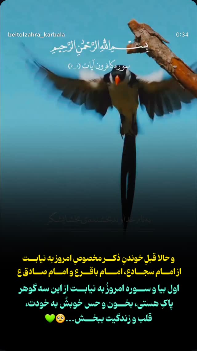  جدید ترین استوری اینستاگرام موکب بیت الزهرا