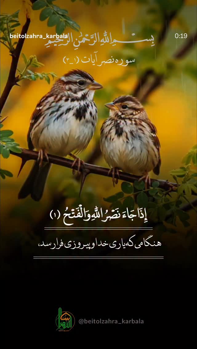  جدید ترین استوری اینستاگرام موکب بیت الزهرا