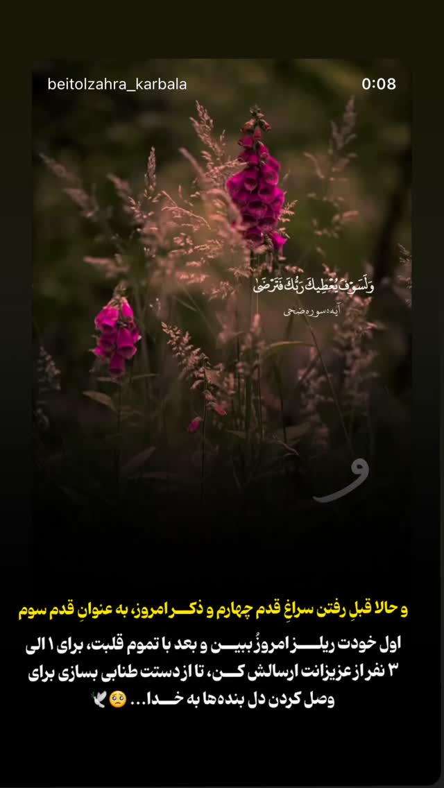  جدید ترین استوری اینستاگرام موکب بیت الزهرا