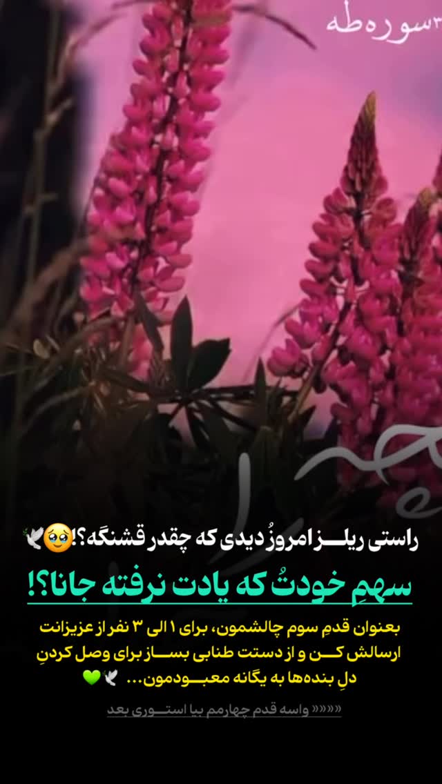  جدید ترین استوری اینستاگرام موکب بیت الزهرا