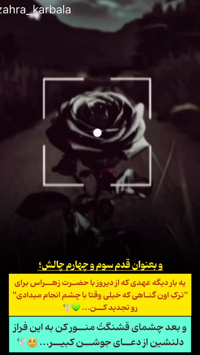  جدید ترین استوری اینستاگرام موکب بیت الزهرا