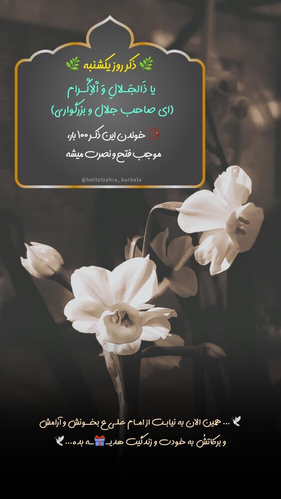 جدید ترین استوری اینستاگرام موکب بیت الزهرا